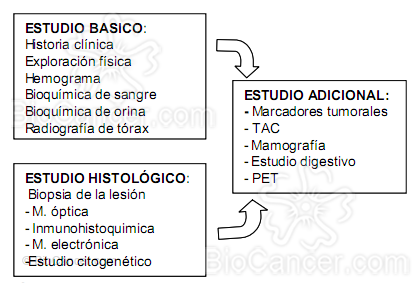 de enfermedad digestiva en la historia clínica   o exploración física. La tomografía por emisión de positrones (PET) está indicada en casos muy seleccionados