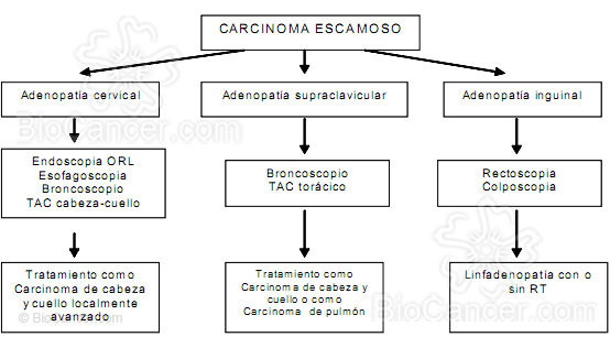 Principios generales del cáncer › Cáncer de origen desconocido › 3. Orientación Diagnóstica. Ganglios supraclaviculares como forma de presentación