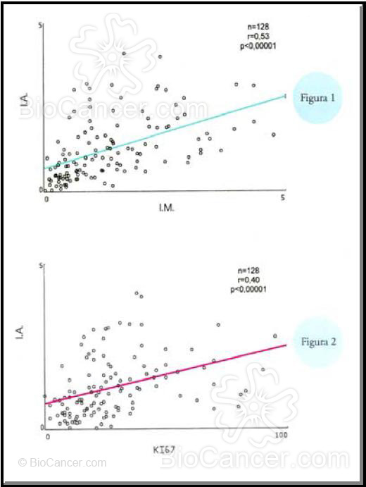 Principios generales del cáncer Proliferación tumoral Cinética Celular  Cuantificación De La Proliferación Y De La Apoptosis