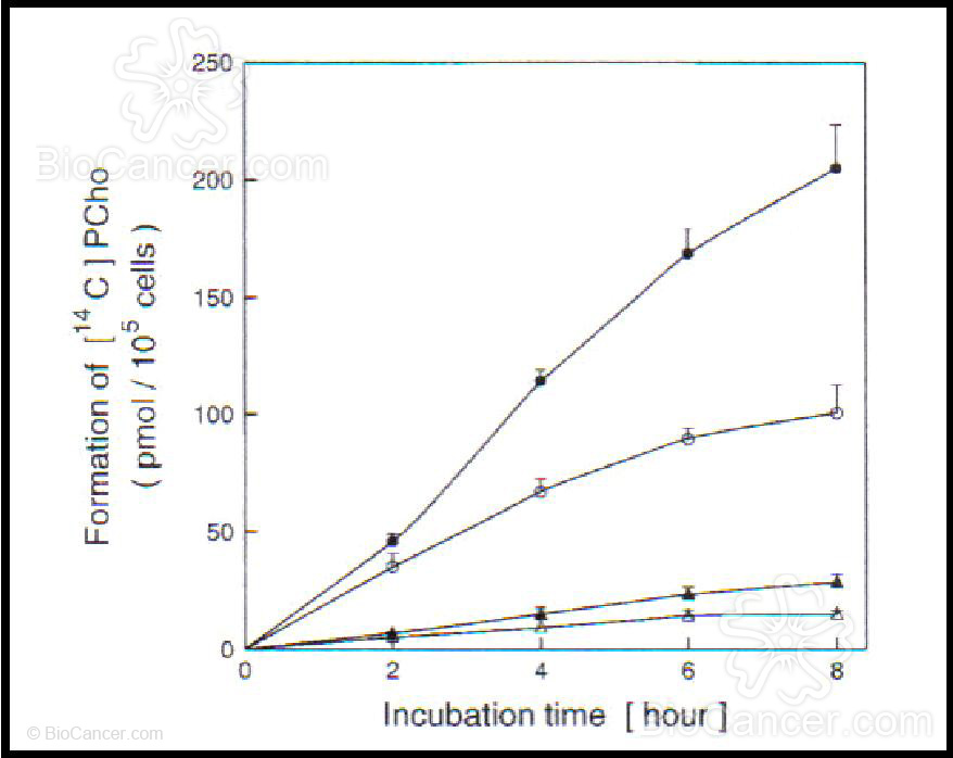 Determinación de formación de PCho marcada, utilizando la línea NIH 3T3, en presencia(○)y ausencia (●) de agentes mitogenicos (▲) y en presencia