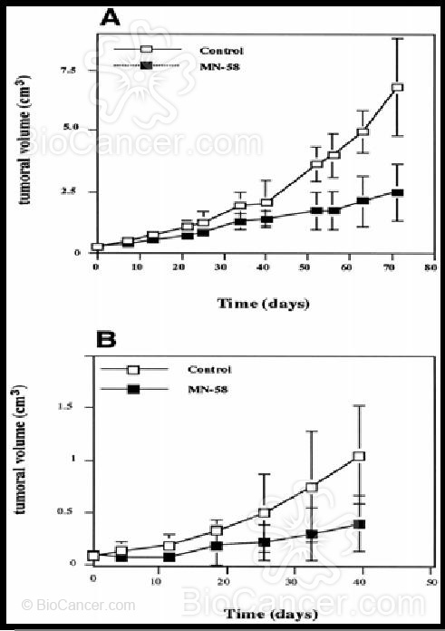 Descripción de la capacidad de reducción del tumor utilizando el compuesto MN52B, A (5mg/Kg) y B (3mg/kg) de compuesto. (Hernandez-Alcoceda y col., 1999)