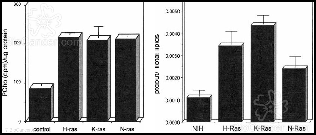 Análisis de la actividad de ChoK y PLD en las líneas NIH 3T3 transformadas en N, H y K-ras, antes de comenzar a utilizar los ensayos con MN58B en estas líneas (Ramirez de Molina y col., 2001)