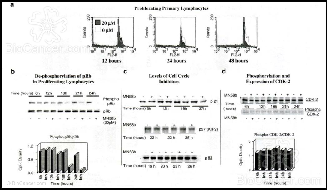 Efectos del tratamiento Con MN58B sobre linfocitos primarios