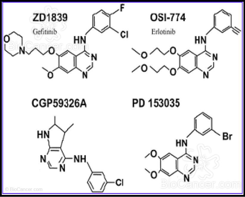 Estructura molecular de las TKIs