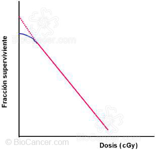 Curva de supervivencia a la radiación