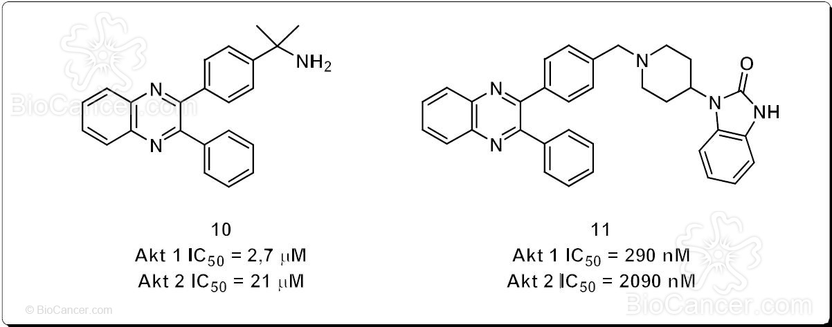 Estructura química del cabeza de serie 10 y su derivado 11