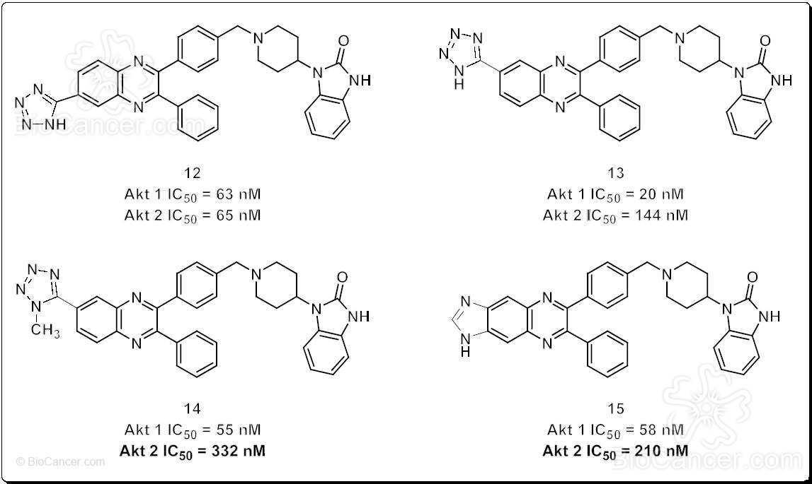 Estructura química de inhibidores de actividad optimizada que incluyen sustituyentes heterocíclicos nitrogenados sobre el anillo quinoxálico