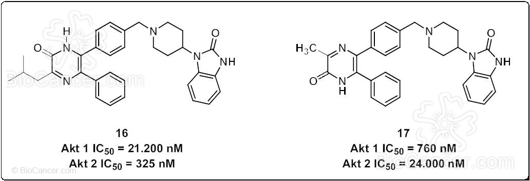 Estructura química de los inhibidores 16 y 17 que reemplazan la unidad quinoxálica por anillos piracinónicos