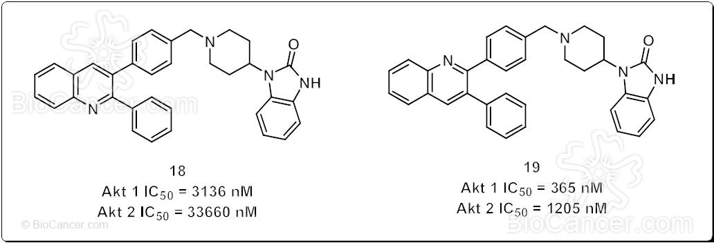 Estructura química de los inhibidores 18 y 19 que reemplazan la unidad quinoxálica por anillos quinolínicos