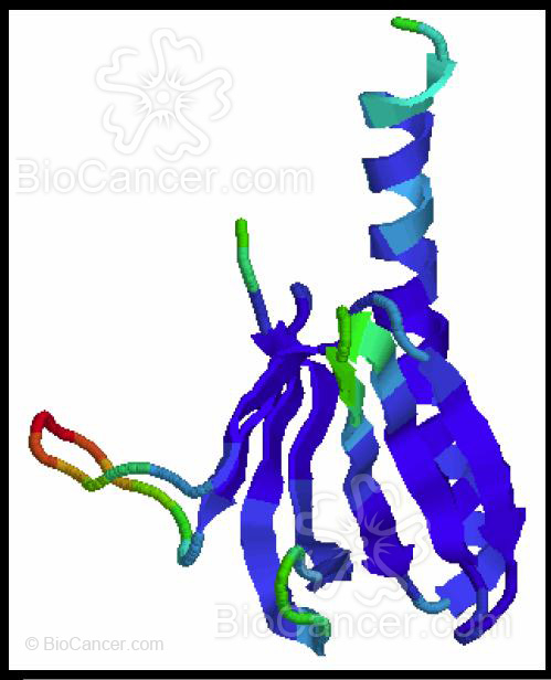 estructura de su dominio PH (Pleckstrin domain) (b)