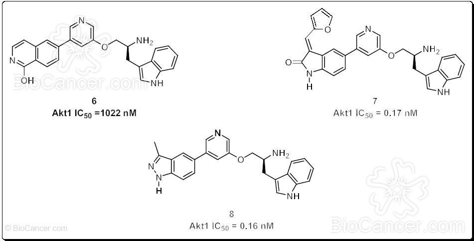 Estructura química y actividad inhibitoria hacia Akt1 del producto de oxidación 6 y de los isósteros 7 y 8
