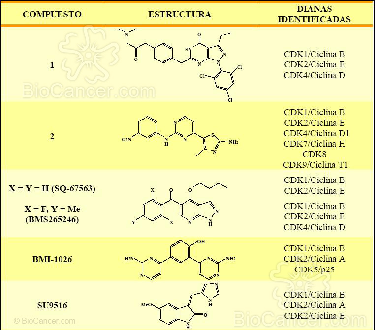 Terapia Combinada Con Citostáticos