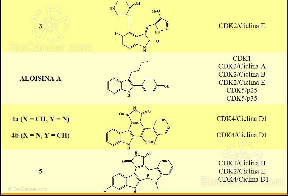 Terapia Combinada Con Citostáticos