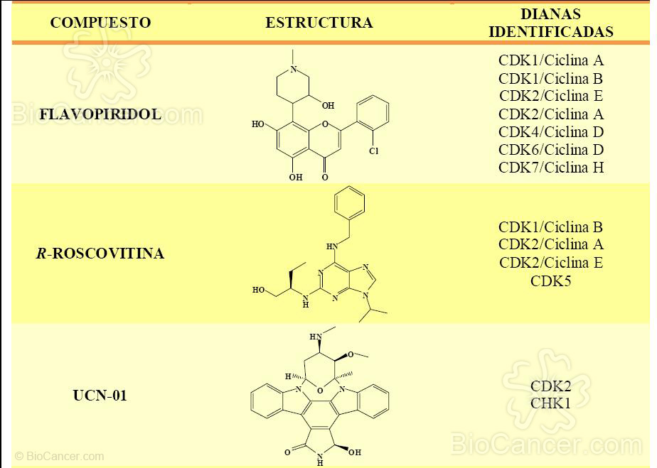 Terapia Combinada Con Citostáticos