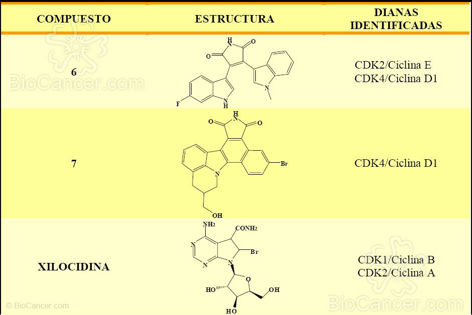 Terapia Combinada Con Citostáticos