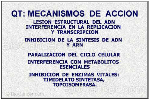 Principios generales del cáncer › Principios de quimioterapia (I): Quimioterapia Antineoplástica. Mecanismos Generales De Acción