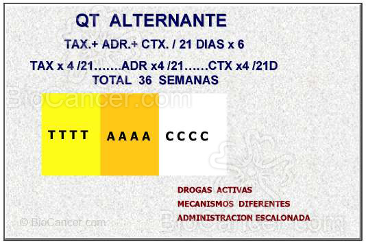 Principios generales del cáncer Principios de quimioterapia (I): Quimioterapia Antineoplástica Diversas Modalidades De Quimioterapia Diseño Del Esquema De Tratamiento