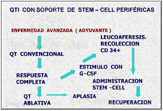 Principios generales del cáncer › Principios de quimioterapia (I): Quimioterapia Antineoplástica › 4. Diversas Modalidades De Quimioterapia. Diseño Del Esquema De Tratamiento