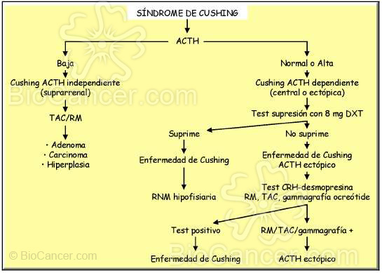 Algoritmo diagnóstico del síndrome de Cushing