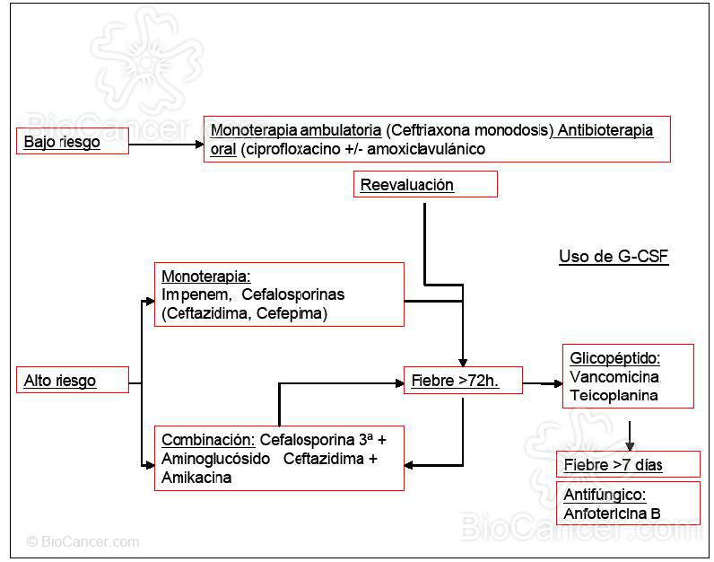 Principios generales del cáncer › Tratamiento de soporte en el paciente oncológico › 4. Infecciones En El Paciente Con Cáncer. Algoritmo de tratamiento de la neutropenia febril