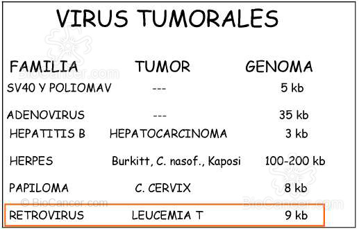 Principios generales del cáncer Virus y Cáncer Introducción