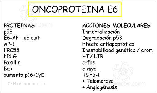 Principios generales del cáncer Virus y Cáncer Virus Del Papiloma Humano  Mecanismos Oncogénicos